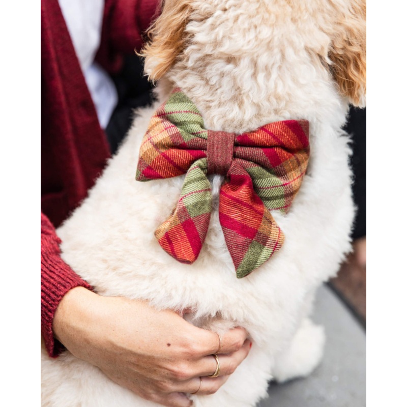 Orchard Plaid Flannel Lady Dog Bow Tie (Made in the USA)