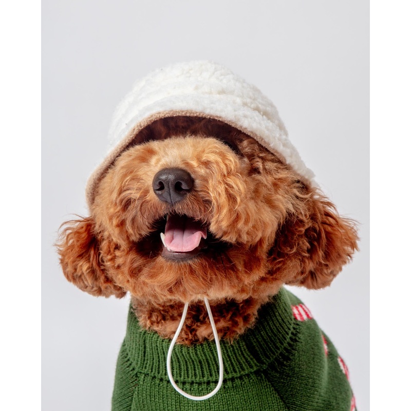 Sherpa Bucket Hat for Dogs|Small|Medium|Large|X-Large