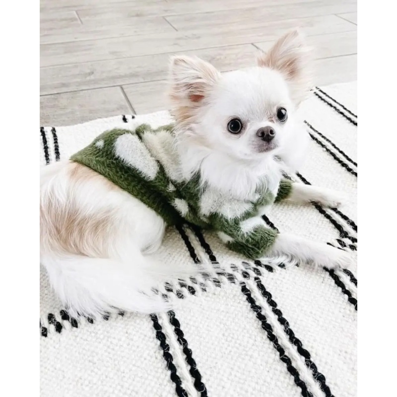 Soft Cloud Pet Sweater|Green|Medium|Large|X-Large