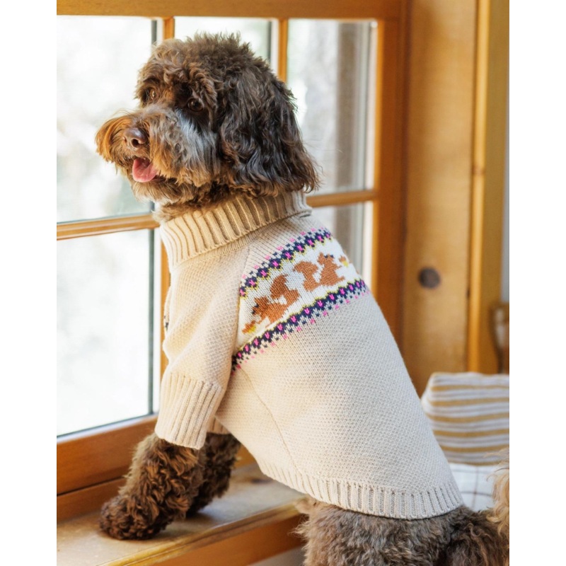 Squirrel Knit Dog Sweater|XX-Small|X-Small|Small|Medium|Large|X-Large|XX-Large