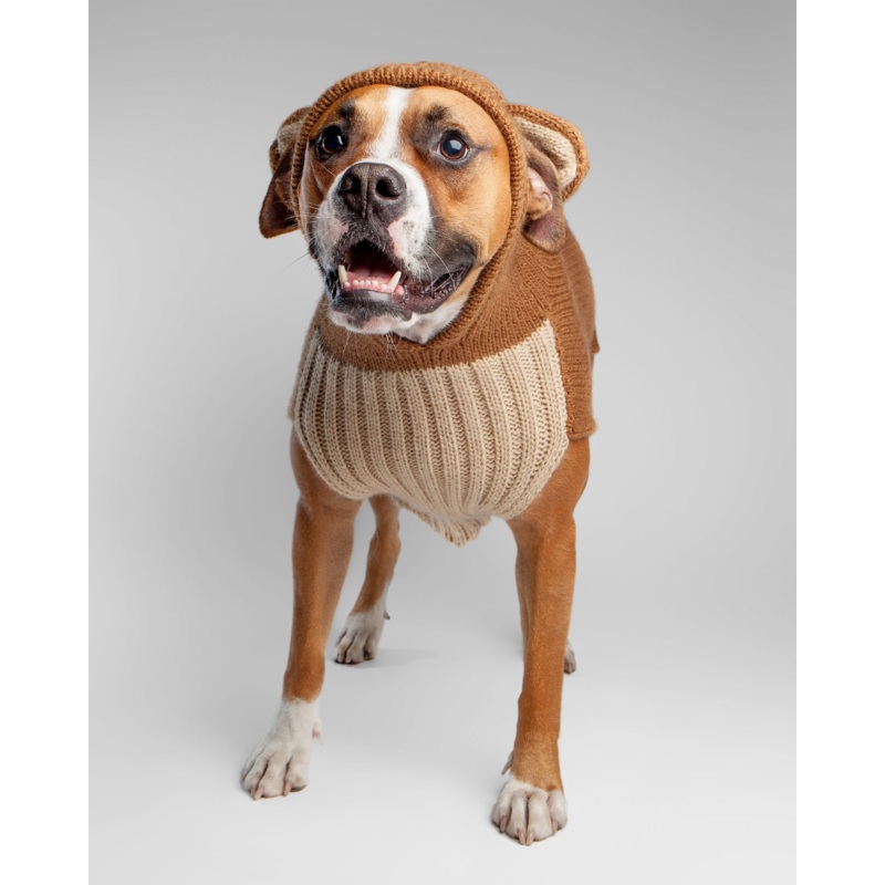 Teddy Bear Handknit Dog Sweater