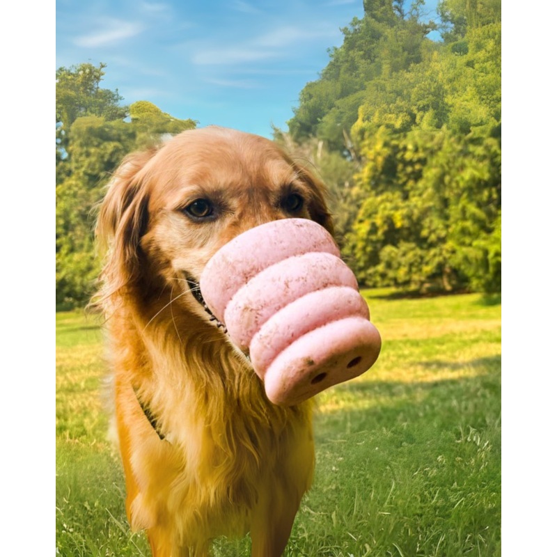 The Oinker Treat Puzzle Dog Toy