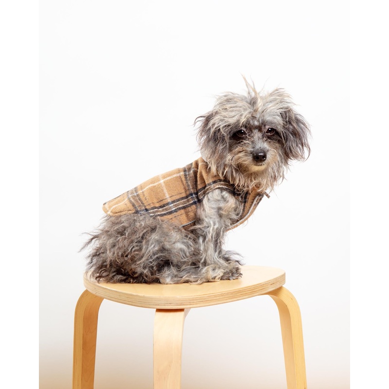 Weekender Flannel Sweatshirt Hoodie for Dogs