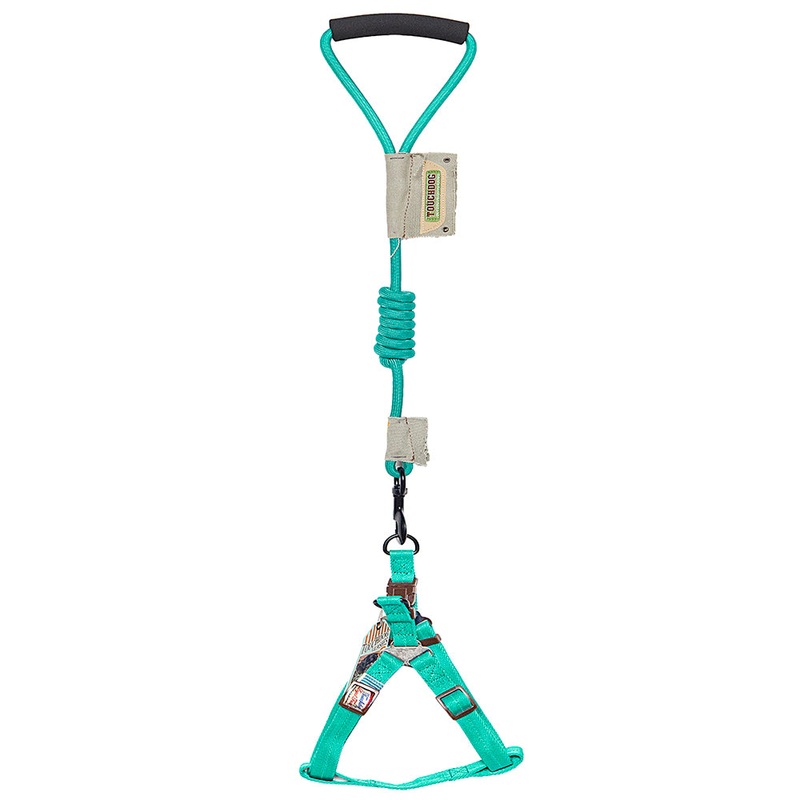 Aqua Green Harness & Leash Set