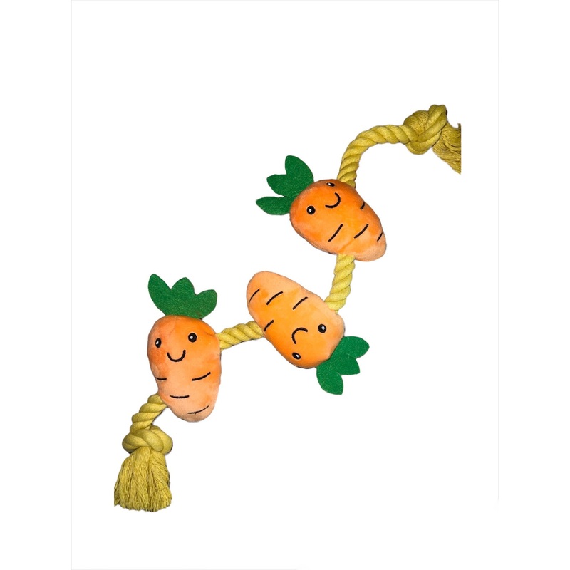 Carrot Rope Squeaker Dog Toy