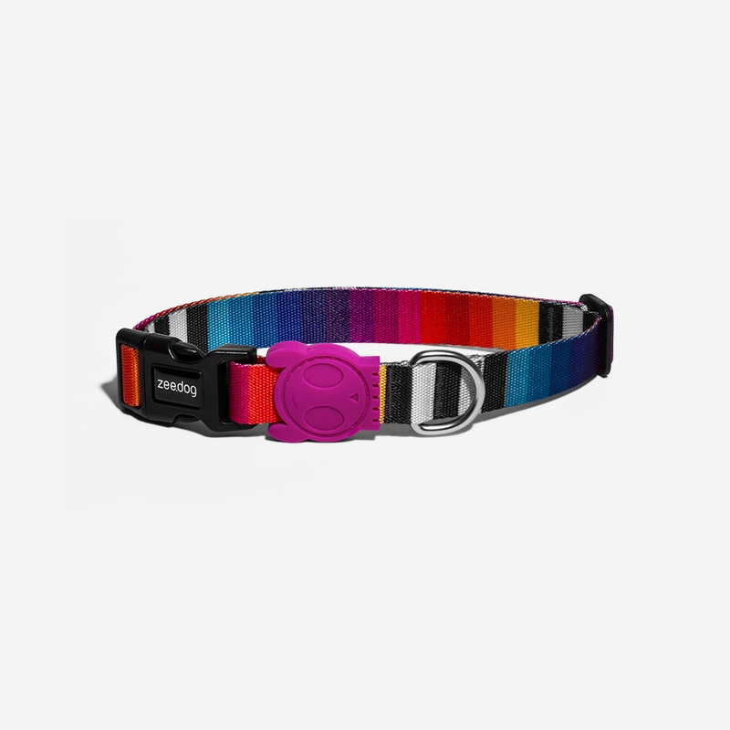 Prisma | Collar|Extra Small|Small|Medium|Large