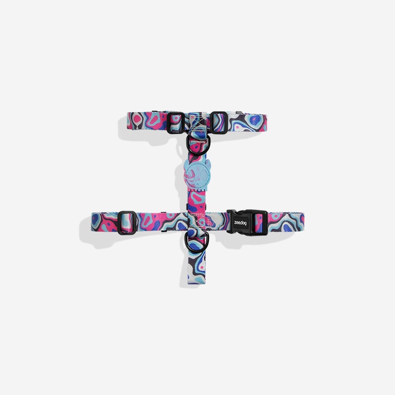 Blast | H Harness|Extra Small|Small|Medium|Large