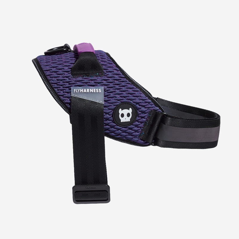Wicked | FlyHarness|Size 1|Size 2|Size 3|Size 4|Size 5