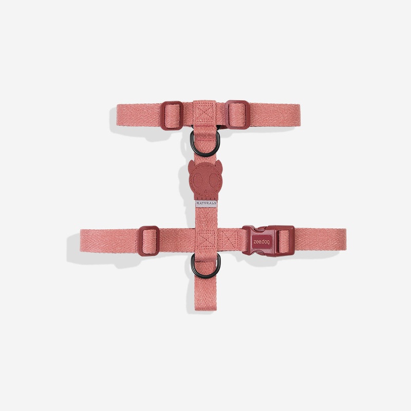 Canyon | H Harness|Extra Small|Small|Medium|Large