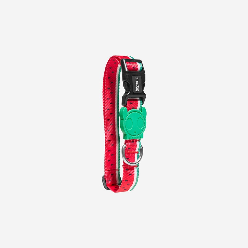 Lola | Dog Collar|Extra Small|Small|Medium|Large