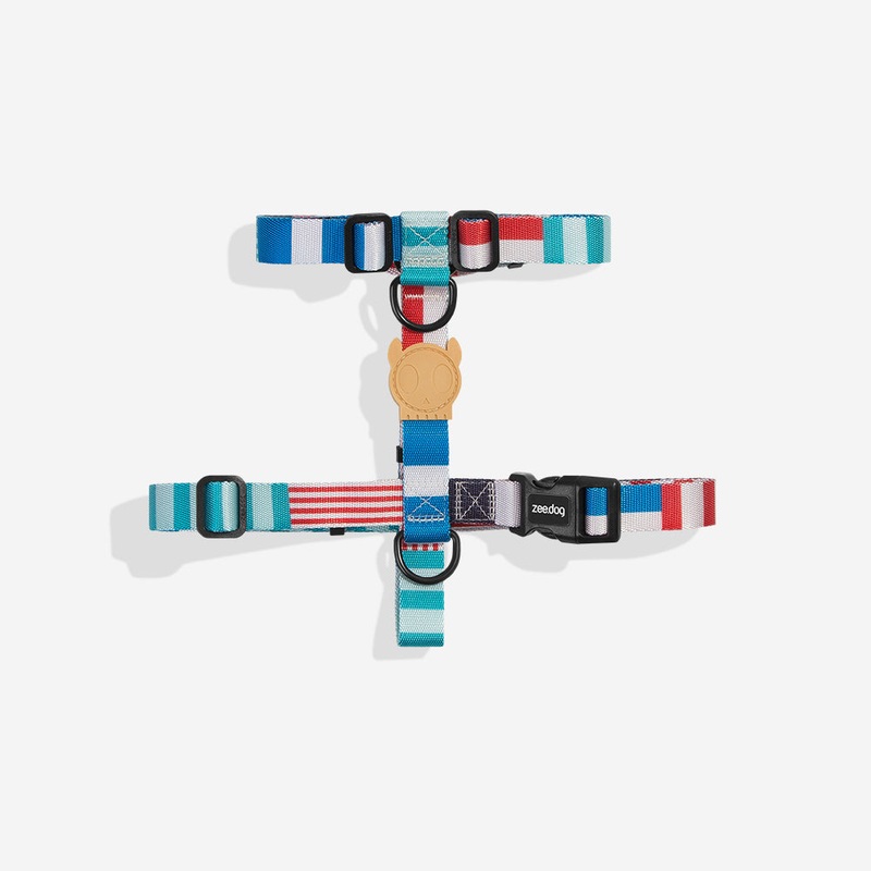 Yacht | H Harness|Extra Small|Small|Medium|Large