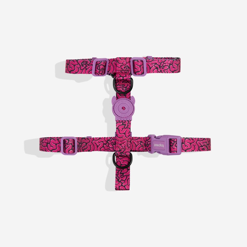 Brain | H Harness|Extra Small|Small|Medium|Large