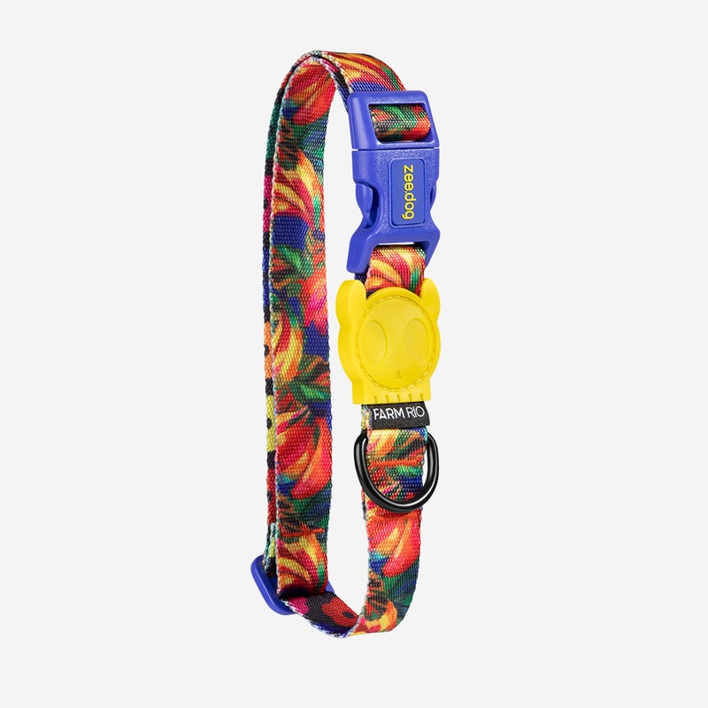 Samba | Collar|Extra Small|Small|Medium|Large