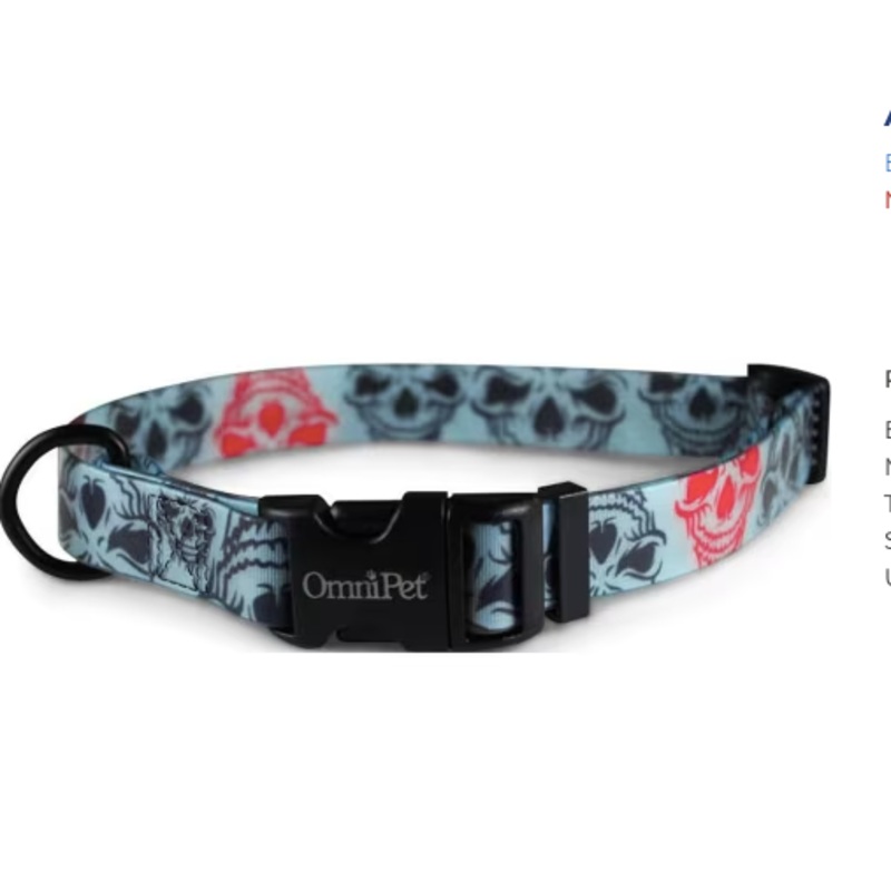 Attitudz Skull Dog Collar 18×26