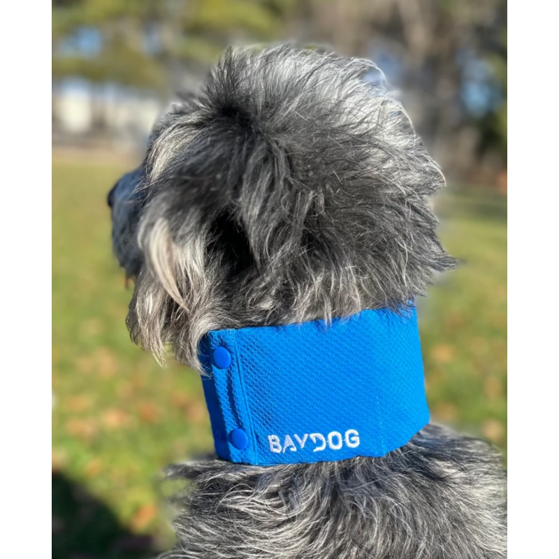 BayDog Cooling Collar Artic Bay Blue XXLG