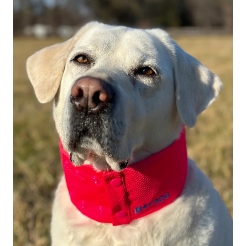 BayDog Cooling Collar Artic Bay Red XLG