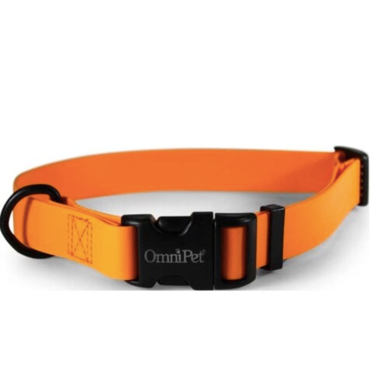 Carnival Orange Dog Collar 3/4 x 16 W/ Black Hardware