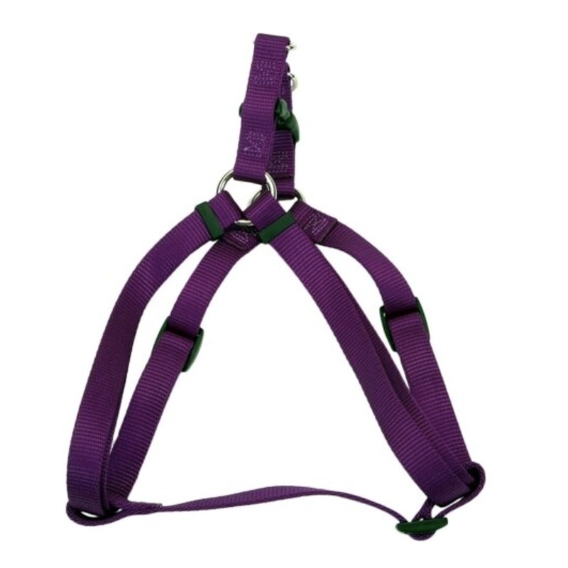 Coastal 3/4 Adjustable Harness Purple 20-30