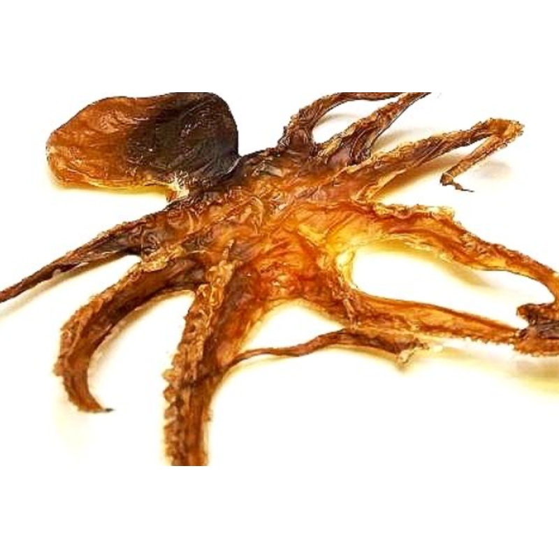 WTR Baby Octopus 1.5z