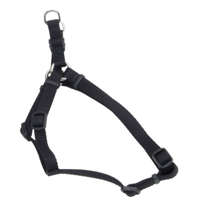 Coastal 3/8 Adjustable Harness Black 12-18