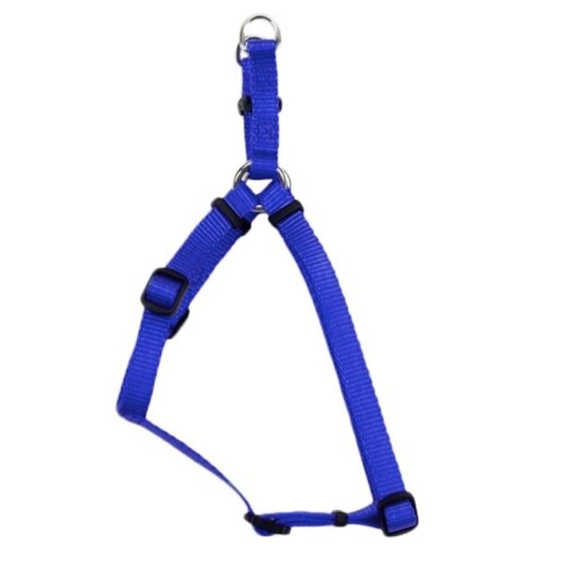 Coastal 3/8 Adjustable Harness Blue 12-18