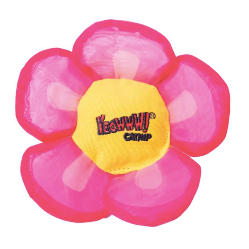 Yeowww! Daisy’s Flower Top Pink