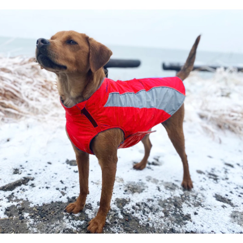 BayDog Clifford Red Saginaw Fleece XXL
