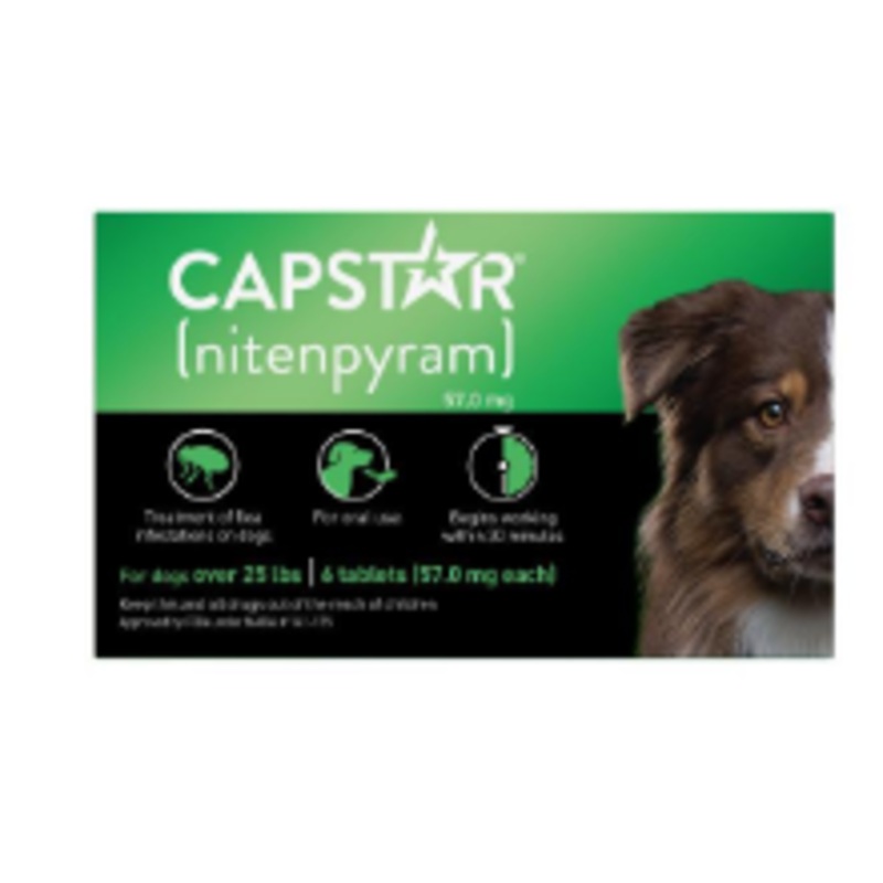 Pet IQ Capstar Flea Dog 25# and up 6 tablets