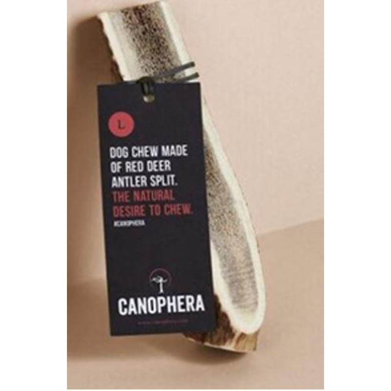 Canophera Red Deer Antler Chew LG