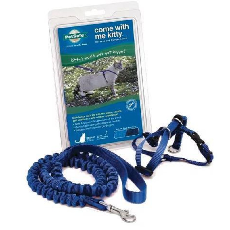 Come With Me Kitty Cat Harness & Bungee Leash Royal Blue