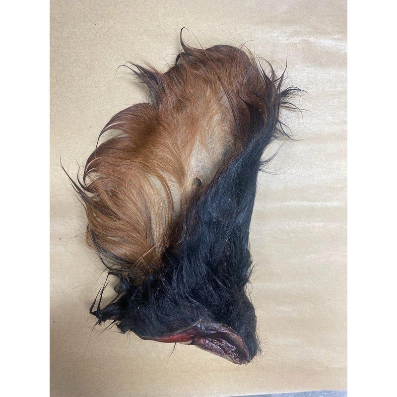 WTR Beef Ear w/ Hair