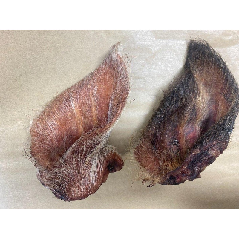 WTR Pig Ear w/ Hair
