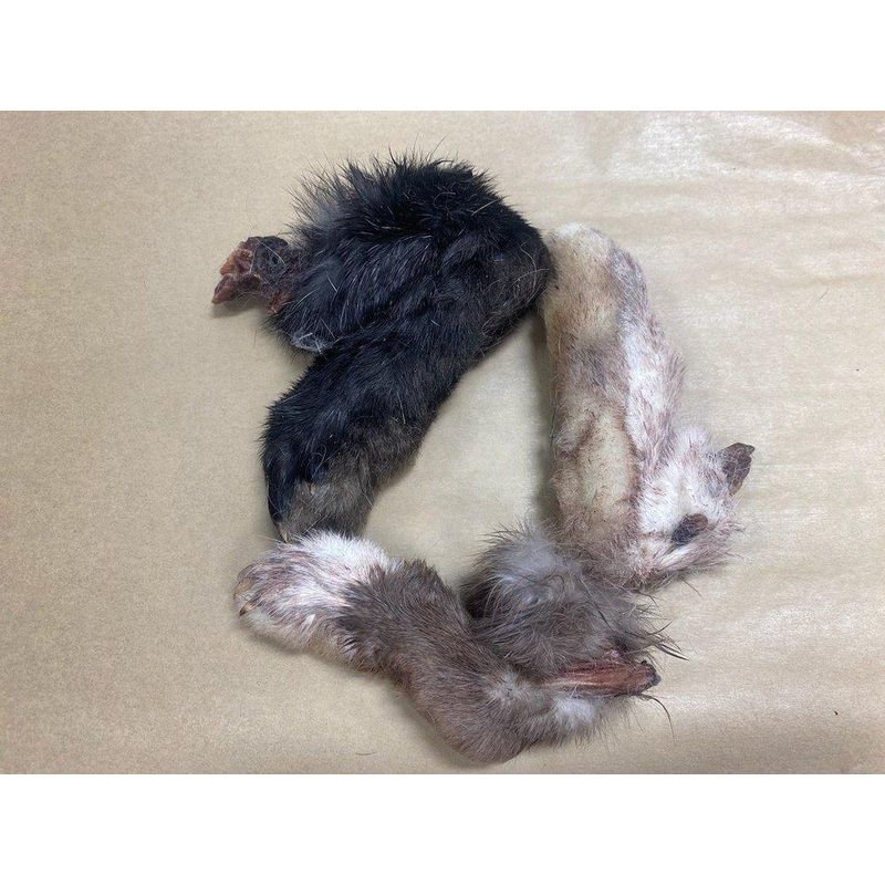WTR Rabbit Foot