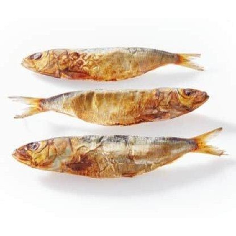 WTR Sardine