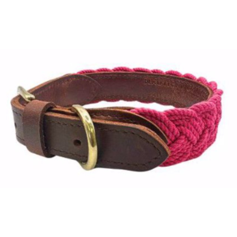 BayDog Pink Lily Seaside Collar LG