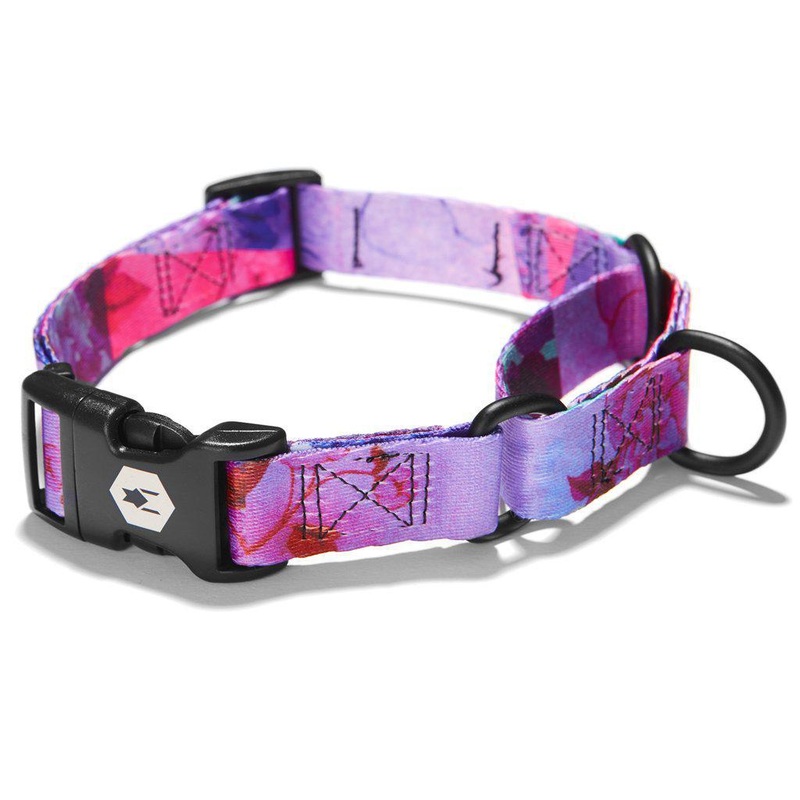 Coastal 1 Collar Martingale DRD 22-29