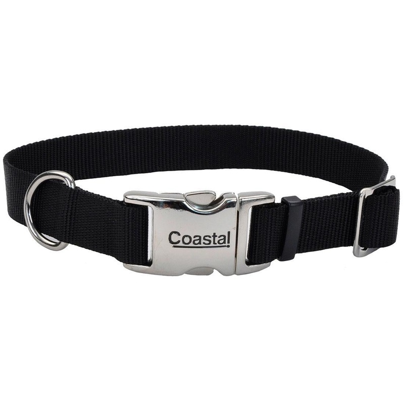 Coastal 3/4 Collar w/ Buckle Black 14-20