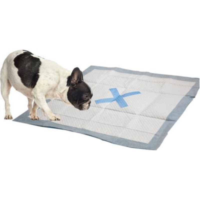 X Marks the Spot Puppy Pads 100ct