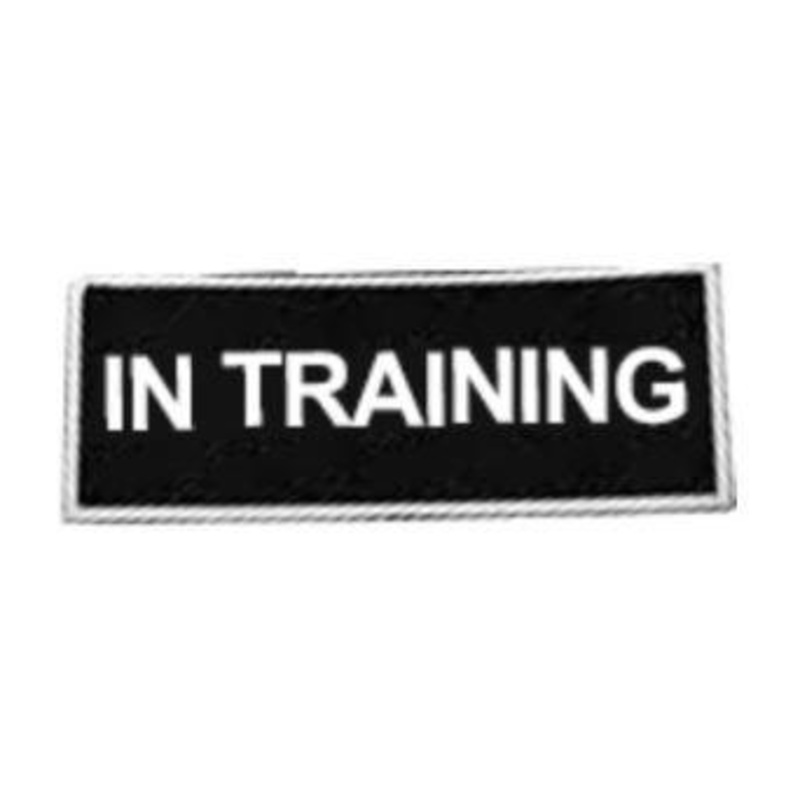 Boss Dog Velcro Patch – In Training LG