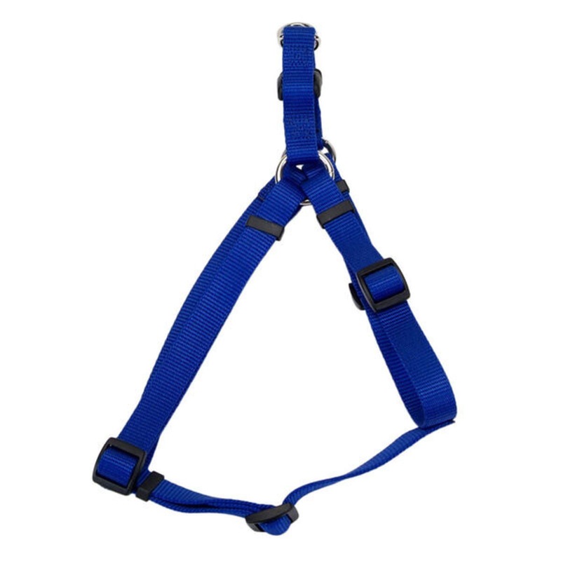 Coastal 1 Adj. Harness Blue 26-38