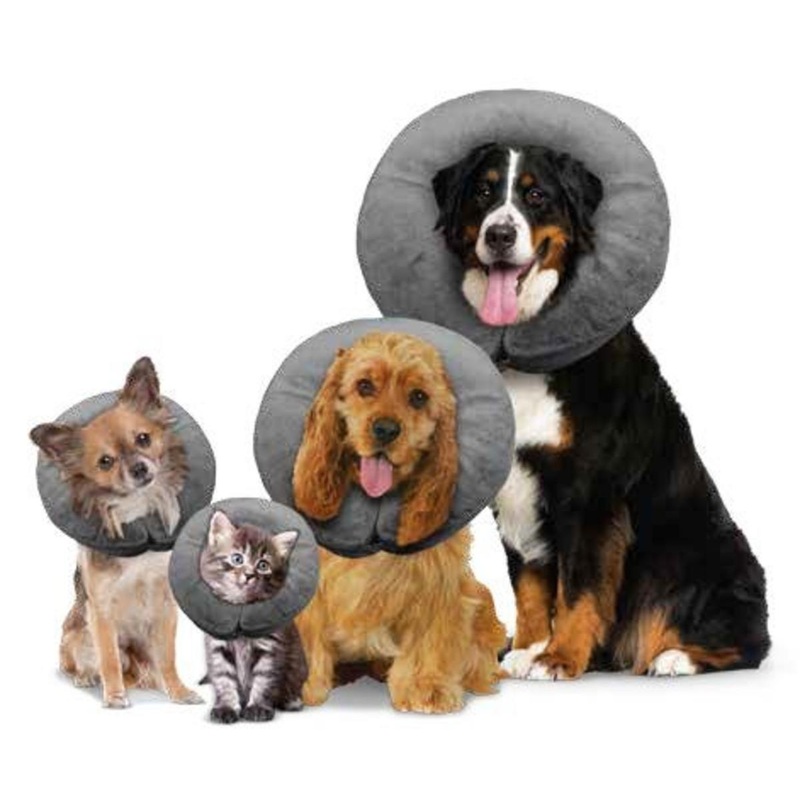 Arlee Pet Comfurt Collar SM 6-10