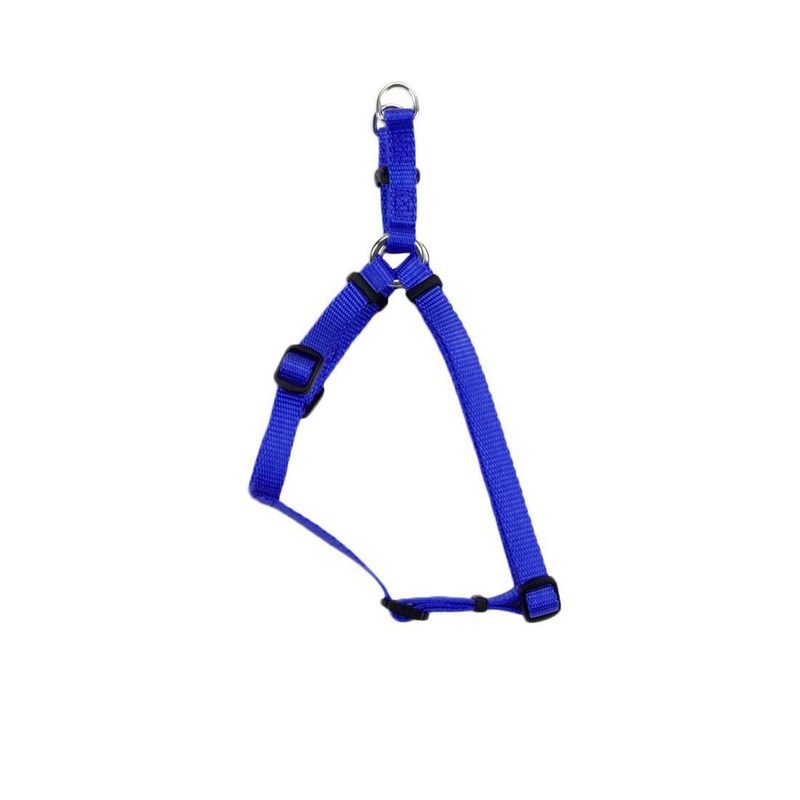 Coastal 5/8 Adj. Harness Blue 16-24