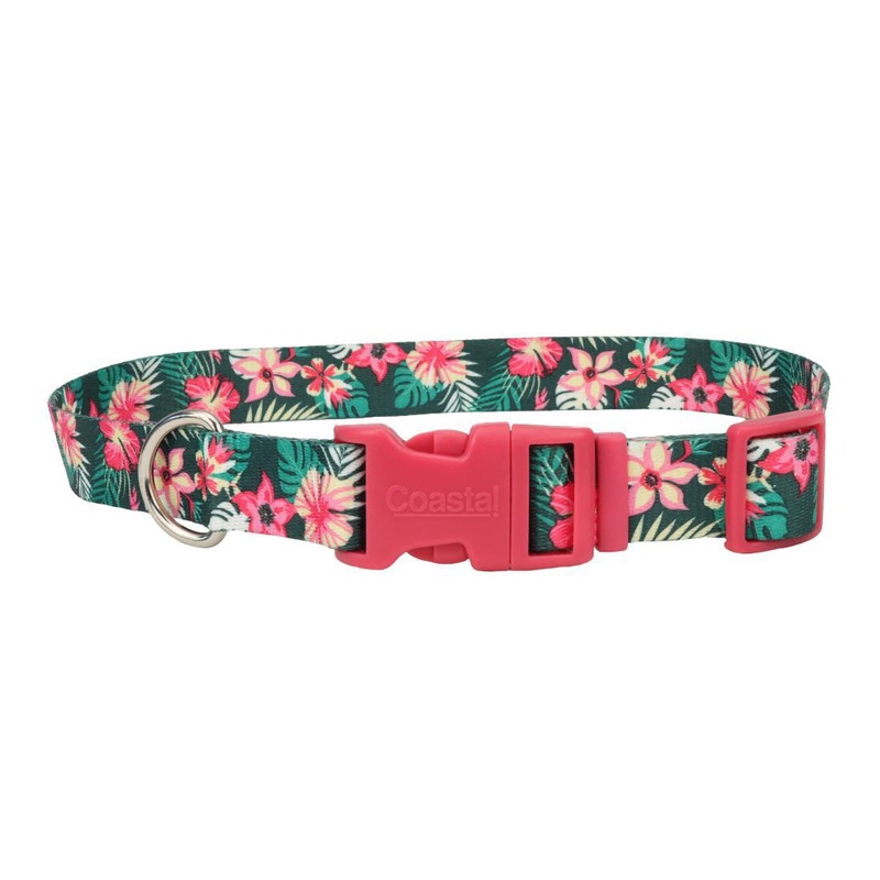 Coastal 5/8 Collar Tropical 10-14