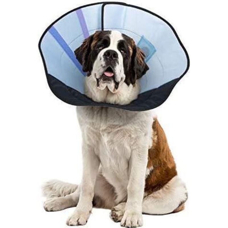 Calm Paws Caring Collar XLG