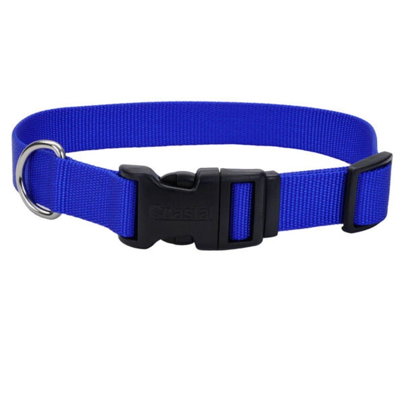 Coastal 7/8 Collar Blue 8-12