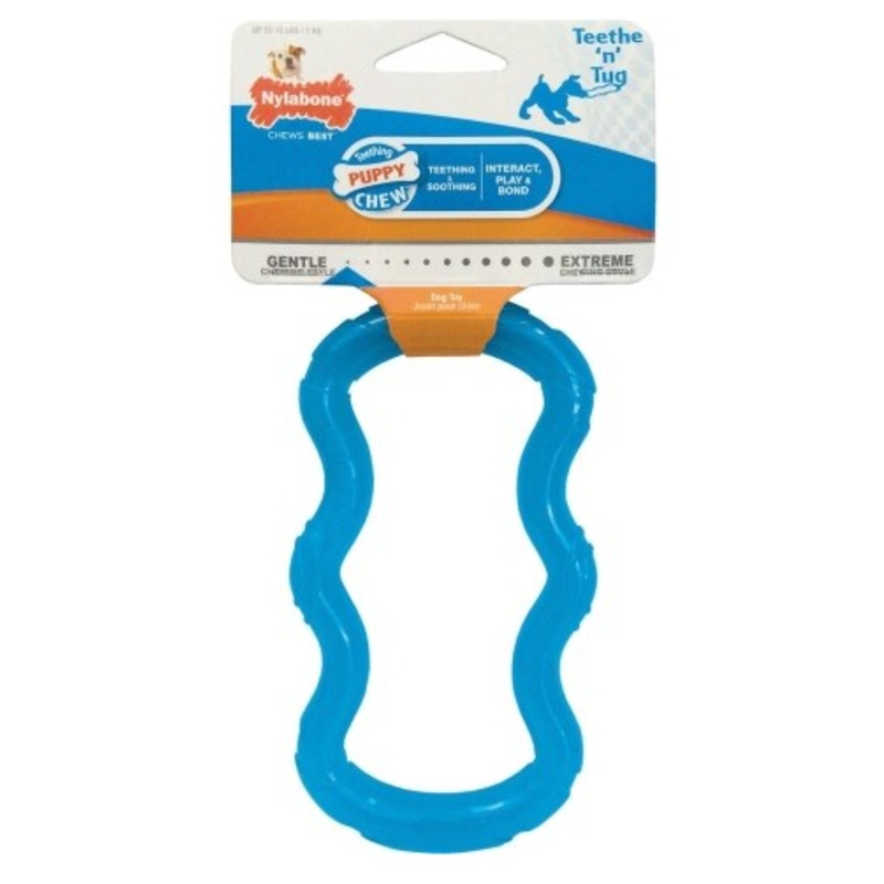 Nylabone Puppy Chew Tug Blue