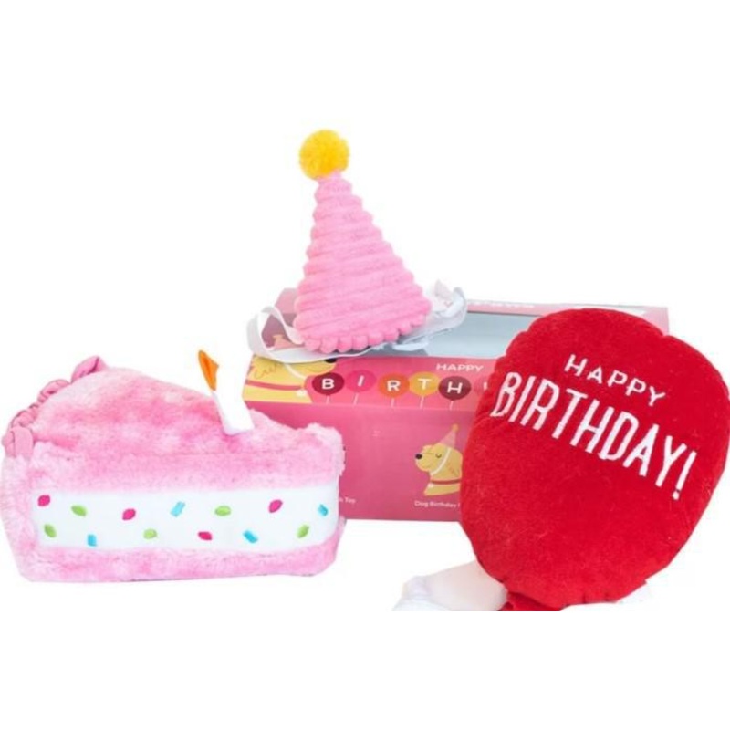 Zippy Paws Birthday Girl Box MD
