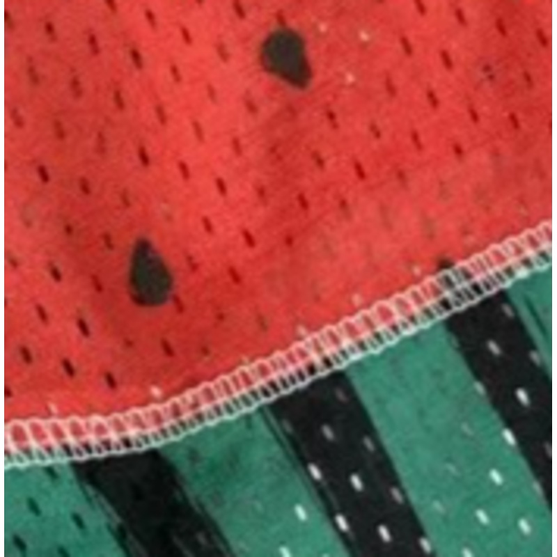 Canada Pooch Cooling Vest – Watermelon 22