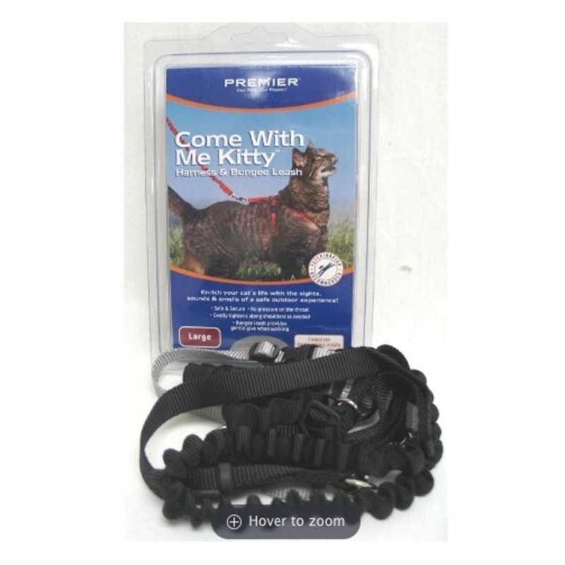 Come With Me Kitty Cat Harness & Bungee Leash – Blk