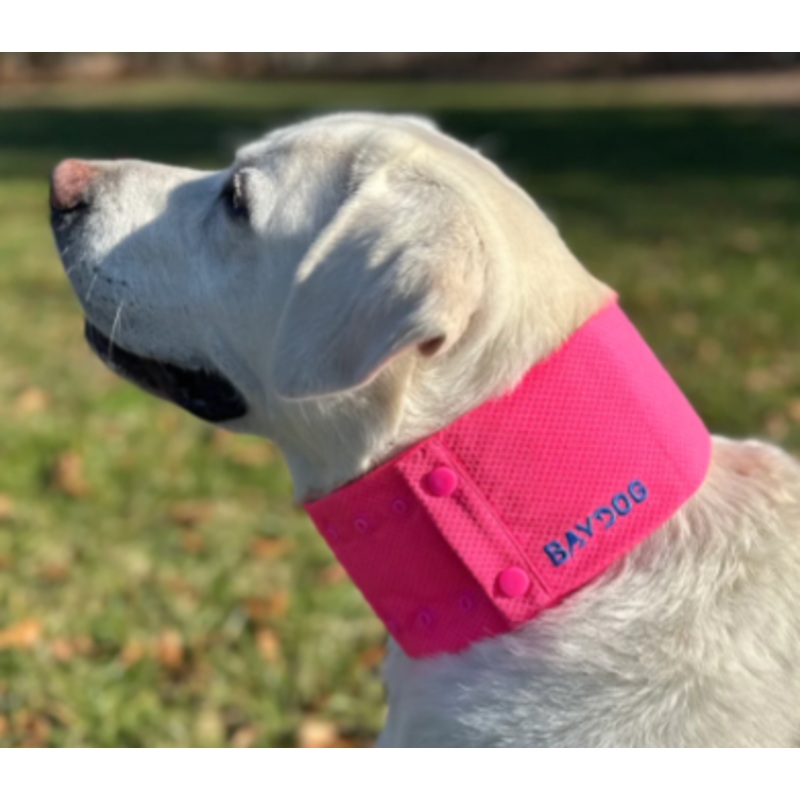 BayDog Cooling Collar Artic Bay Pink MD